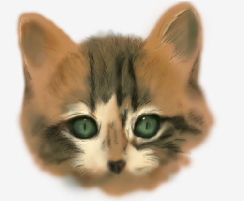 Kitten Sketch