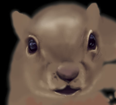 Squirell Digital Sketch